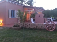 Cottage Violapo 