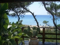 Suite Della Yucca 