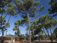 PuntAla Camping Resort 