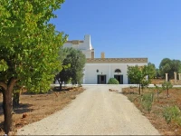 Tenuta Mazzucchi Tarantino 