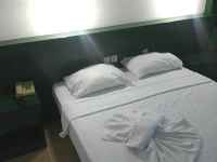 Alerya Hotel 3*