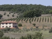 Agriturismo La Steccaia Alta 
