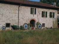Agridechirico 
