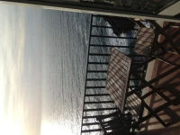 Sol Levante 