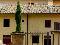 Tenuta La Novella 