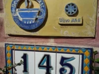 Ulivo 