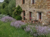 Agriturismo Dondoli 