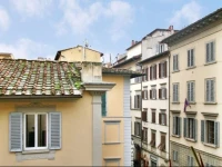 Firenze Mia - David 