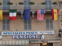 Pensione Delfino Azzurro 