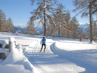 Tschogglbergerhof 