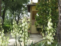 B&B Il Borgodmd 