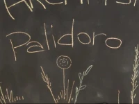 ArcHasa Palidoro 