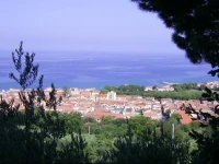 LAcqua del Fico 