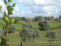 Borghetto di Roma 