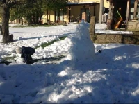 La Cortina 