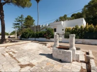 Villa Maggia 