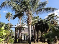 Villa Ponticelli 