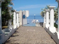 Costa Viola 