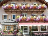 Albergo Gader 2*