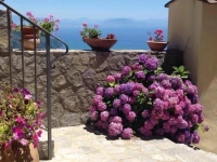 Guest House Malu 