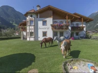 Anewandterhof 