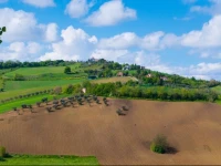 Il Giardino Erboso 