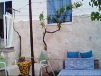 Oasi Del Fico 