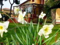 B&B Villa Acero 