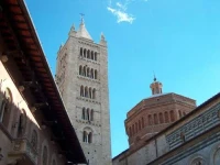 Il Felciaione 