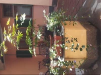 Casa Rossini 