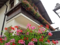 Albergo al Sole Zoldo Alto 