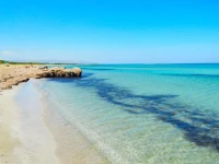 Casa Vacanze La Pineta Sul Mare 