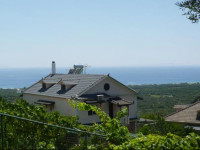 Vila Altini Borsh