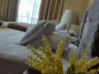 Kompleksi Arifi Hotel 3*