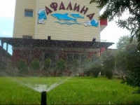 Guest House Afalina 