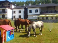 Rusaliite Adventure House 