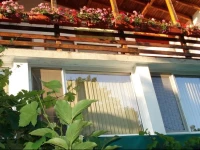 Villa Exotica 