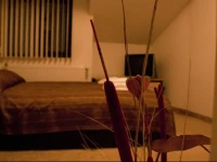 Riskyoff Hotel 2*