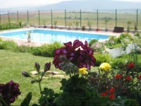 Belvedere Guest House 