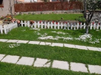 Iundova Guest House 