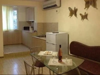 General Gurko Apartment 