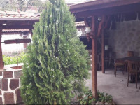 Guest House Zlatinchevi