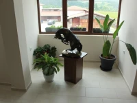 Hotel Podkovata 