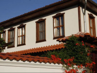 Iliikova House