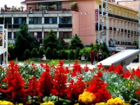 Roza Hotel 