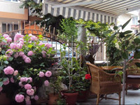 Guest House Villa Roza