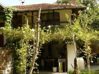 Art Villa Orlova Chuka 