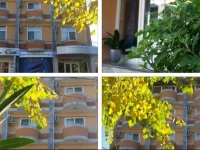 Elena Hotel 
