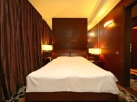 Hotel City Pleven 