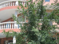 Guest House Orchidea